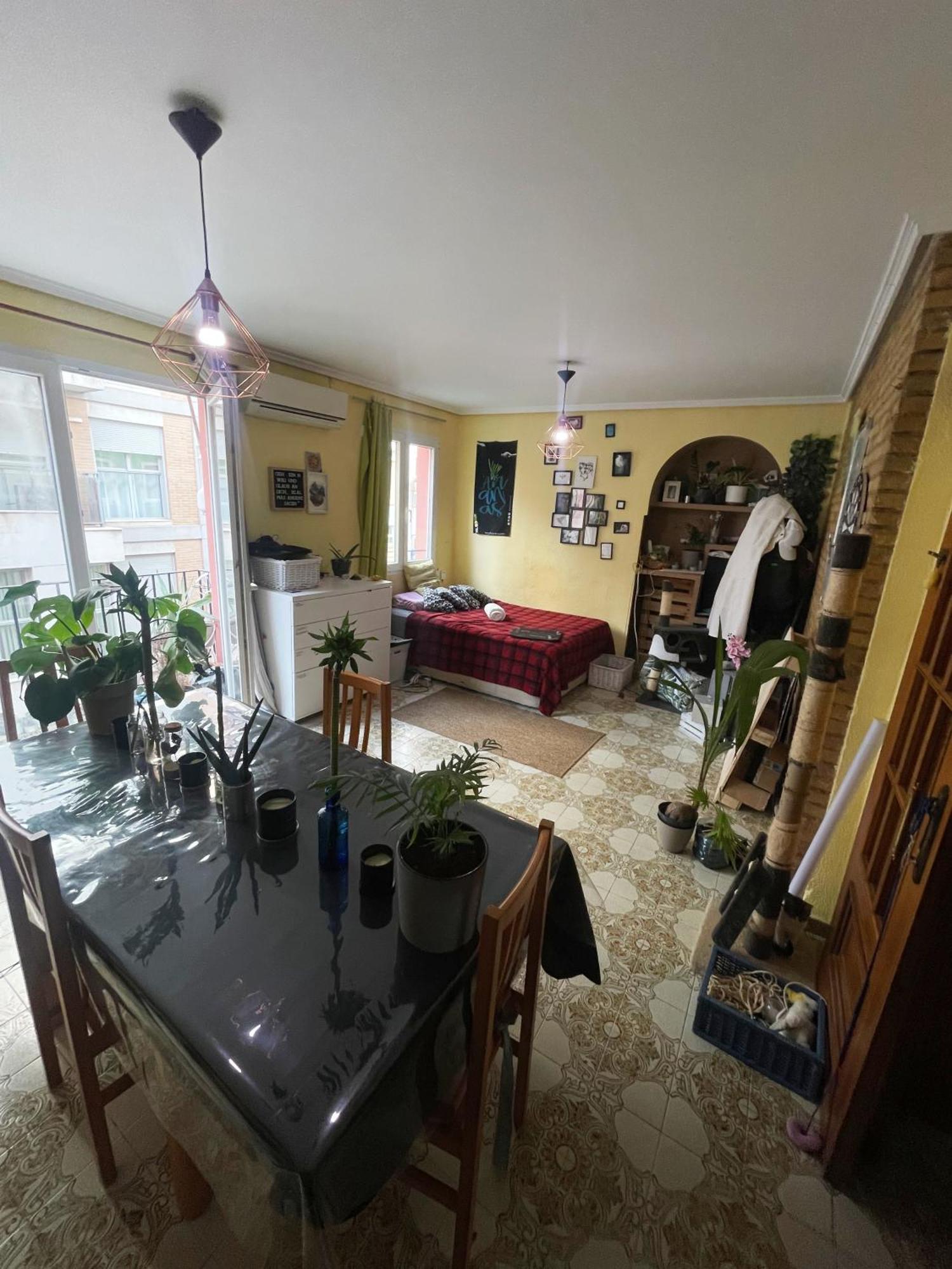Gemuetliches Zimmer "Gold" Fuer 2 Personen Und Katzenliebhaber Valencia Eksteriør billede